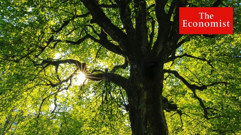 Can nature repair the planet?