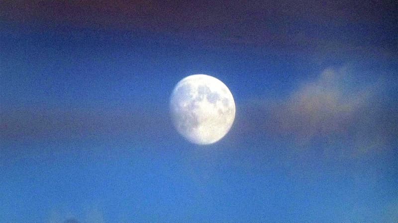 Why does the moon fascinate us?