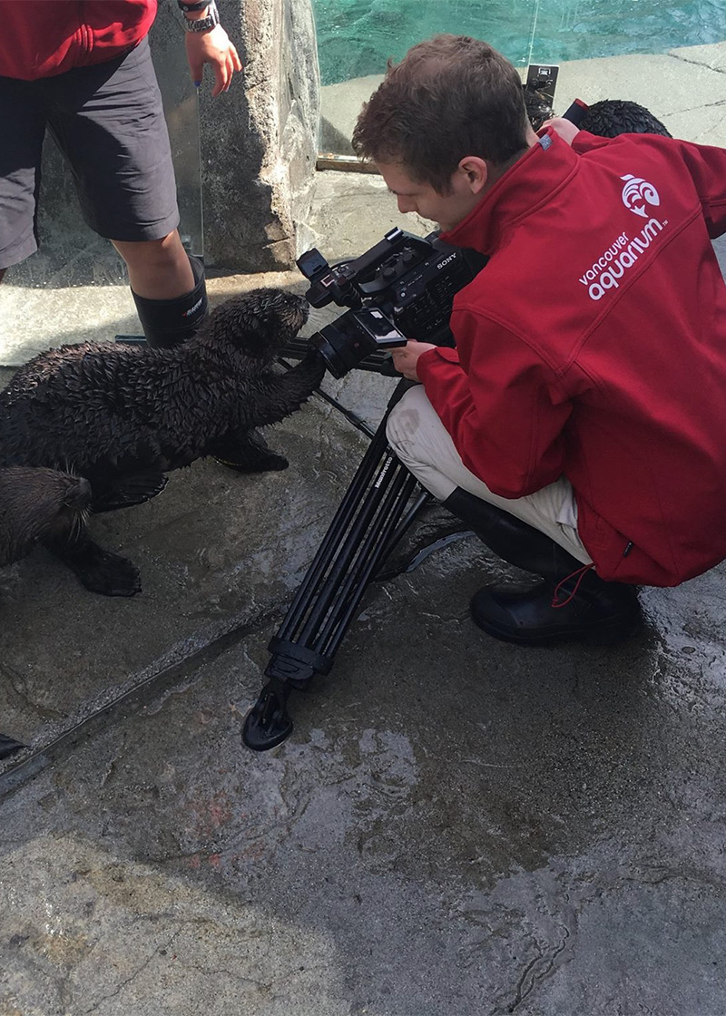 Filming sea otters at the Vancouver Aquarium, where I worked as a videographer, editor, and animator. This was a pretty typical day.